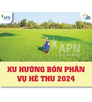XU HƯỚNG BÓN PHÂN VỤ HÈ THU 2024